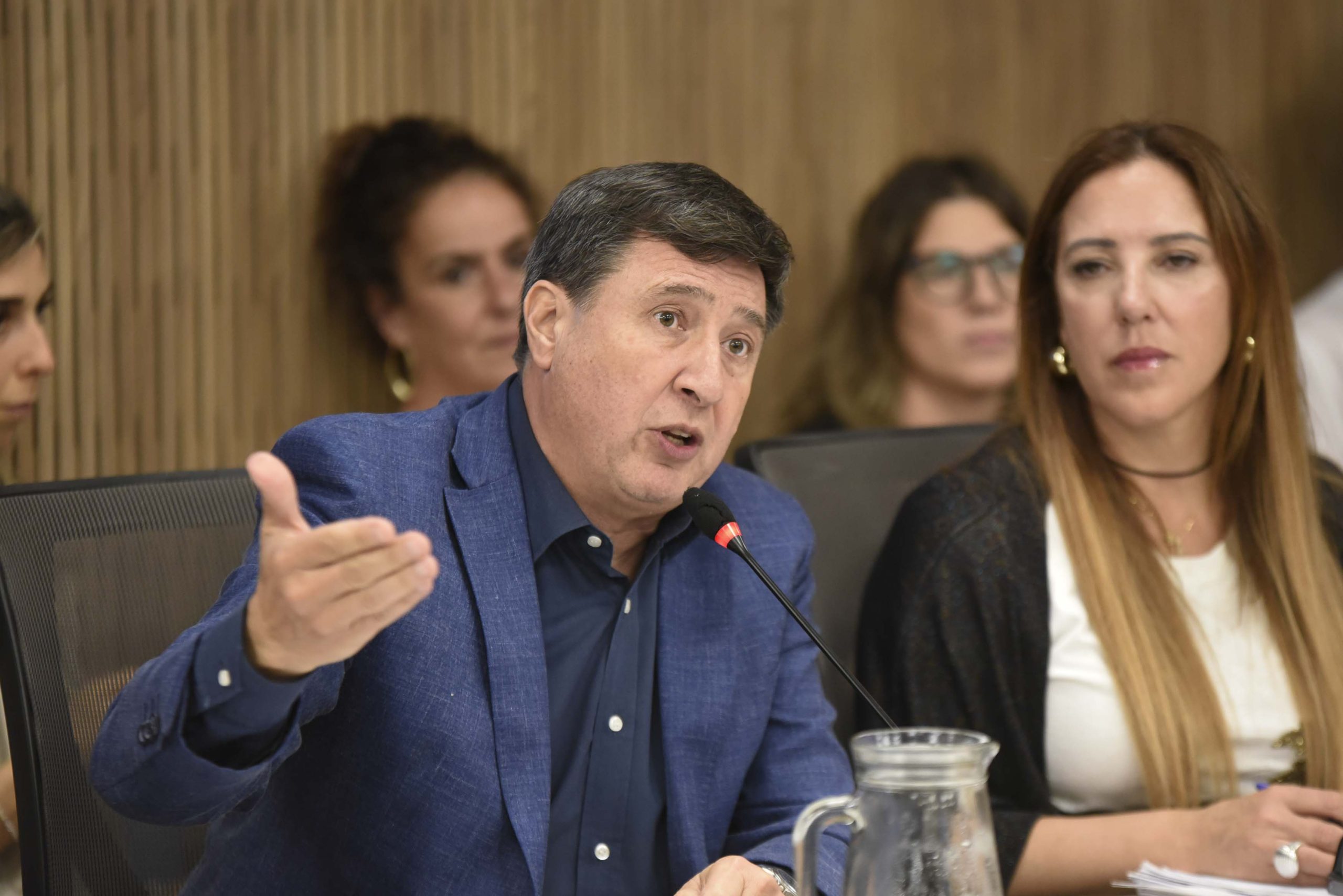 Daniel Arroyo en la Comisión de Discapacidad de la Cámara de Diputados.