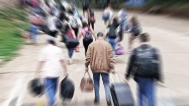 La crisis intensifica el éxodo de trabajadores rurales de Misiones hacia Brasil